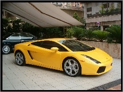 Żółty, Lamborghini Gallardo